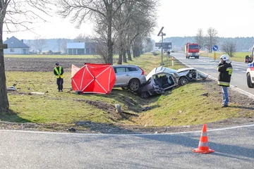 Następne zdjęcie
