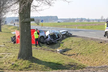 Następne zdjęcie