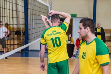 Następne zdjęcie