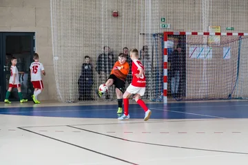 Następne zdjęcie