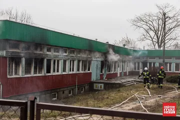 Następne zdjęcie