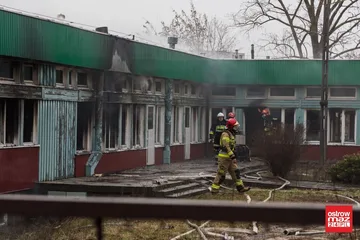 Poprzednie zdjęcie