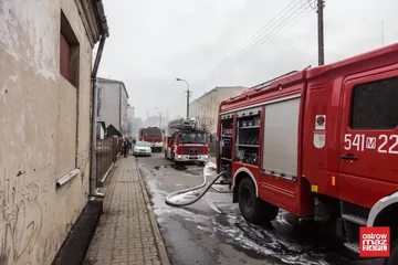 Następne zdjęcie