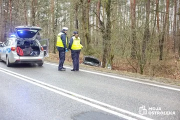 Następne zdjęcie