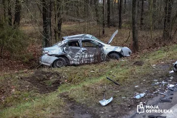 Poprzednie zdjęcie