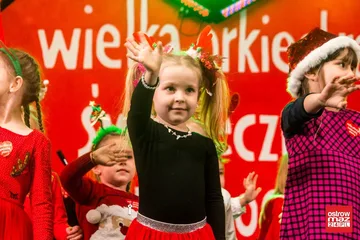 Poprzednie zdjęcie