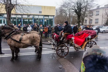 Poprzednie zdjęcie