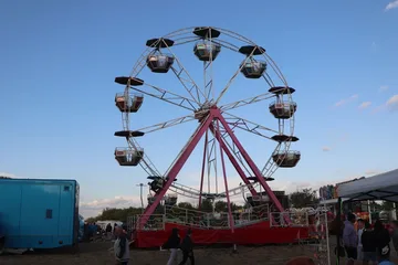 Następne zdjęcie