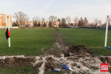 Następne zdjęcie