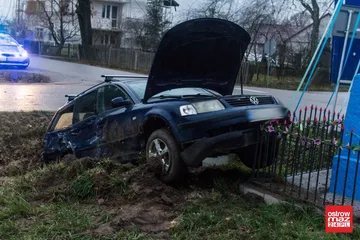 Następne zdjęcie