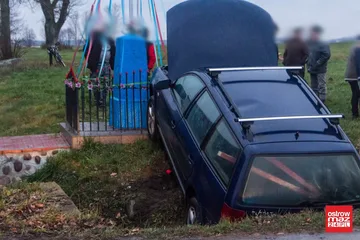 Następne zdjęcie