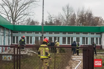 Następne zdjęcie