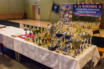 Hodowcy zaprezentowali swoje ptaki w Ostrowi Mazowieckiej (zdjęcia, wideo)