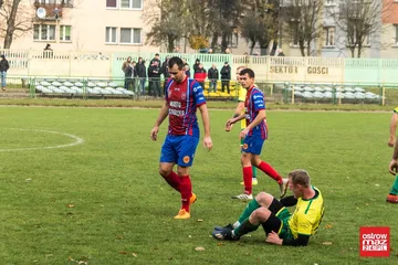 Poprzednie zdjęcie