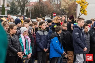 Następne zdjęcie