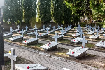 Poprzednie zdjęcie