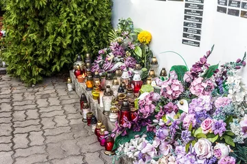 Poprzednie zdjęcie