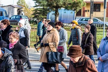 Poprzednie zdjęcie