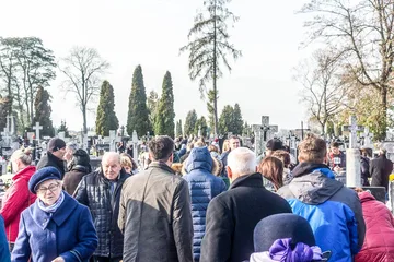 Następne zdjęcie