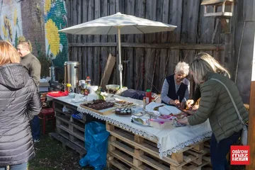 Poprzednie zdjęcie