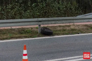Poprzednie zdjęcie
