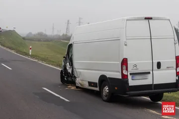 Następne zdjęcie