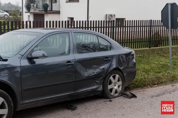 Następne zdjęcie