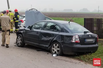 Następne zdjęcie