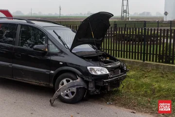 Poprzednie zdjęcie