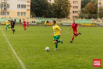 Poprzednie zdjęcie