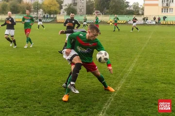 Następne zdjęcie