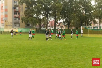 Następne zdjęcie