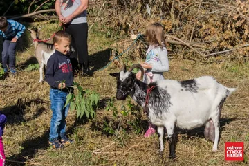 Tłumy na ulicy Słowackiego. "Żywa Ulica" zakończona sukcesem (zdjęcia, wideo)