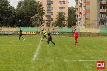 Następne zdjęcie