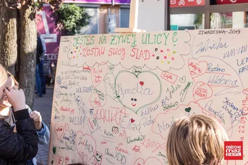 Poprzednie zdjęcie