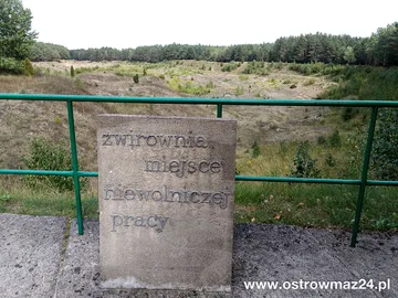 Poprzednie zdjęcie