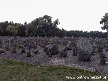 Poprzednie zdjęcie