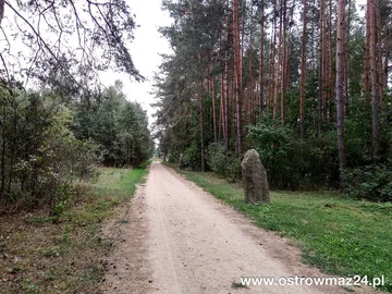 Poprzednie zdjęcie