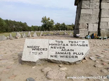 Poprzednie zdjęcie