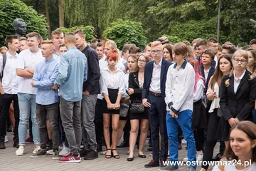 Poprzednie zdjęcie