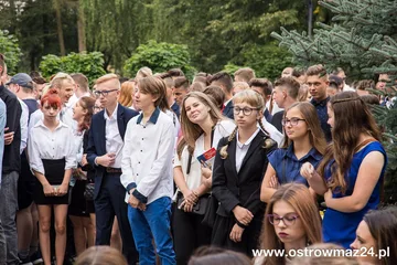 Poprzednie zdjęcie
