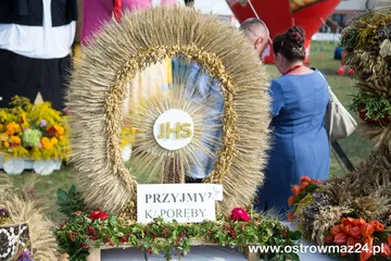 Poprzednie zdjęcie