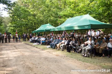 Poprzednie zdjęcie