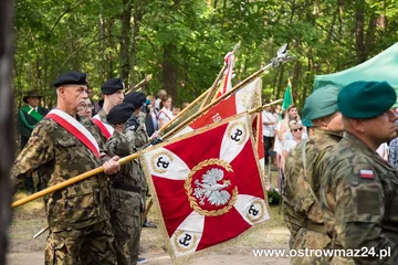 Następne zdjęcie