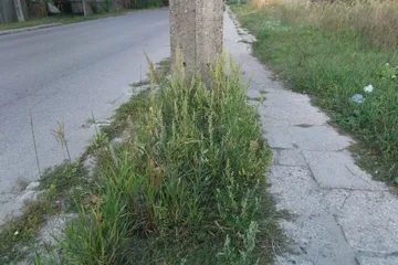Poprzednie zdjęcie