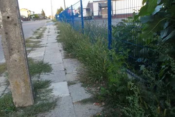Następne zdjęcie