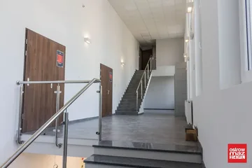 Następne zdjęcie