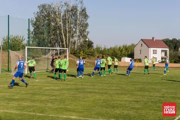 Następne zdjęcie