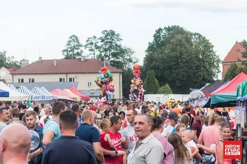 Następne zdjęcie