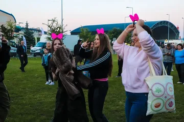 Poprzednie zdjęcie